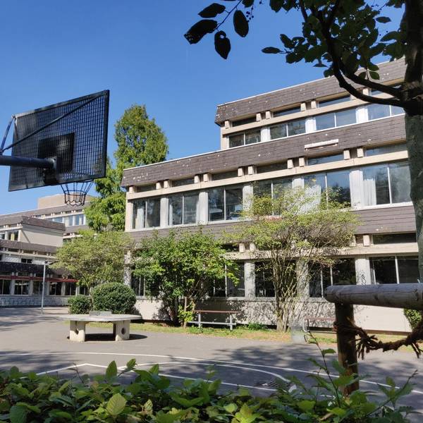 PCB Gym und Sek