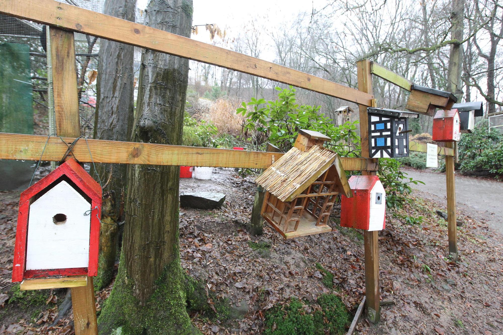 Neuer Inhalt (1)