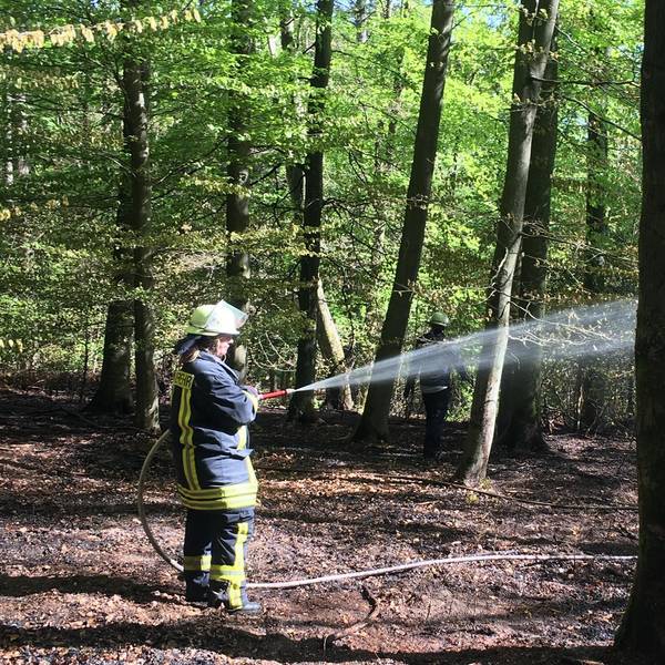 Neuer Inhalt