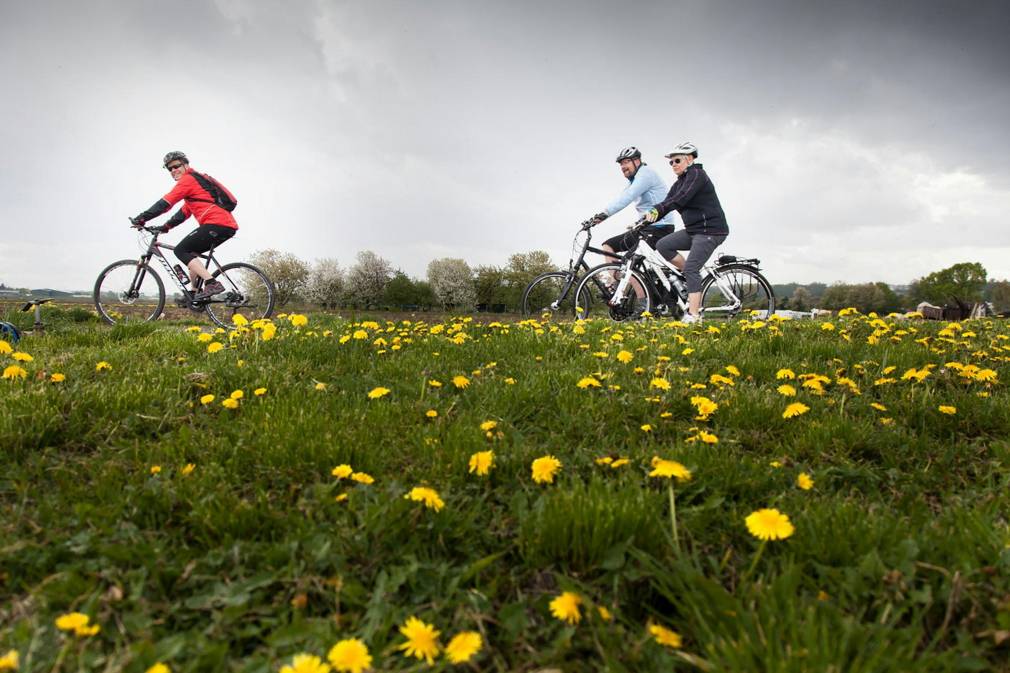 Bornheim_Fruehlingserwachen_gun_3