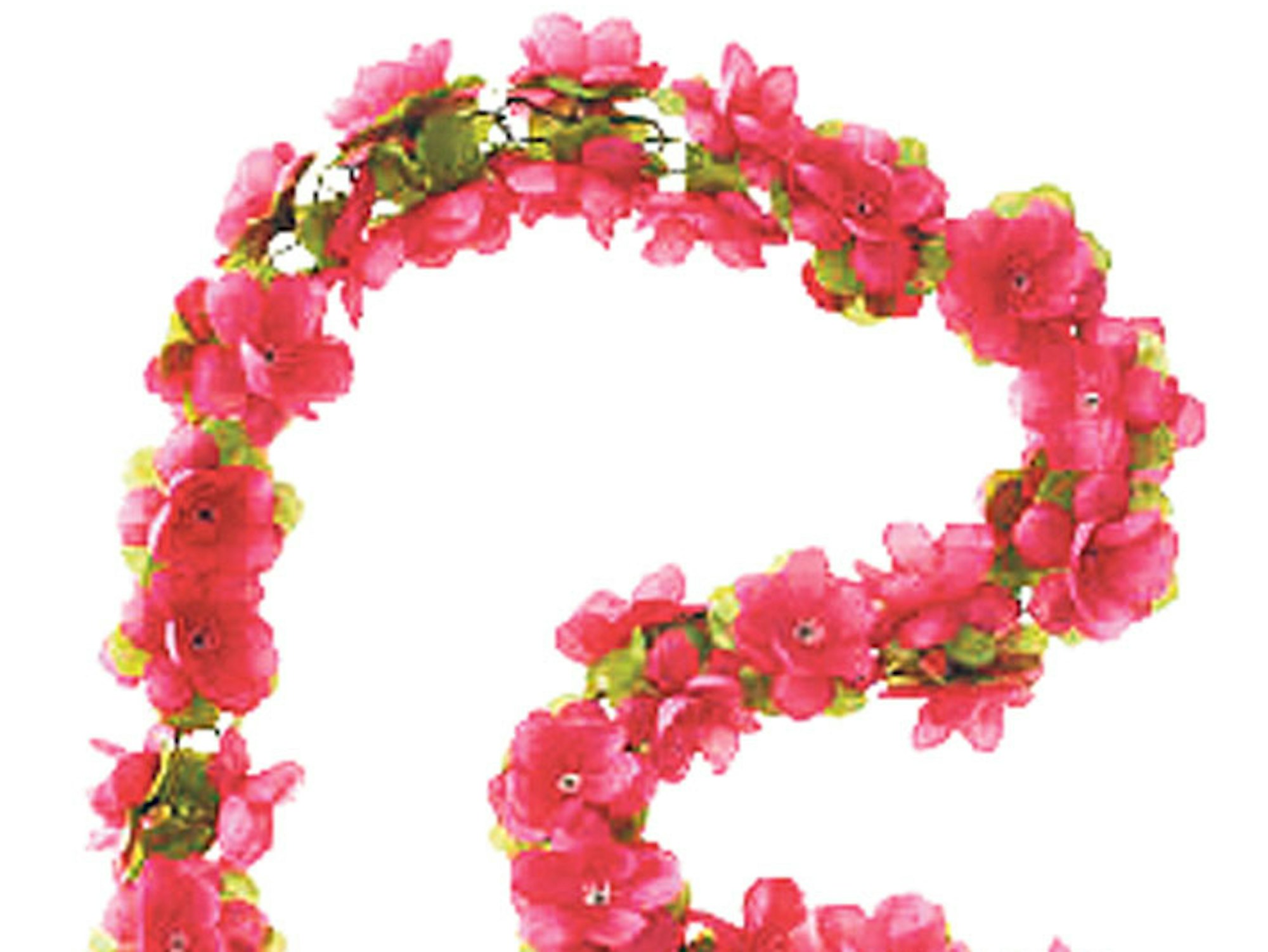Blume_Neu