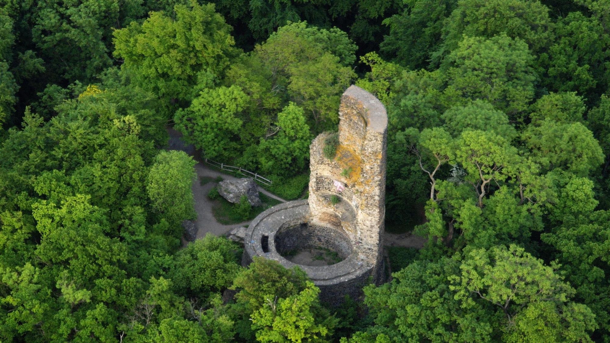 Tomburg_Wik,i_4.0_012x