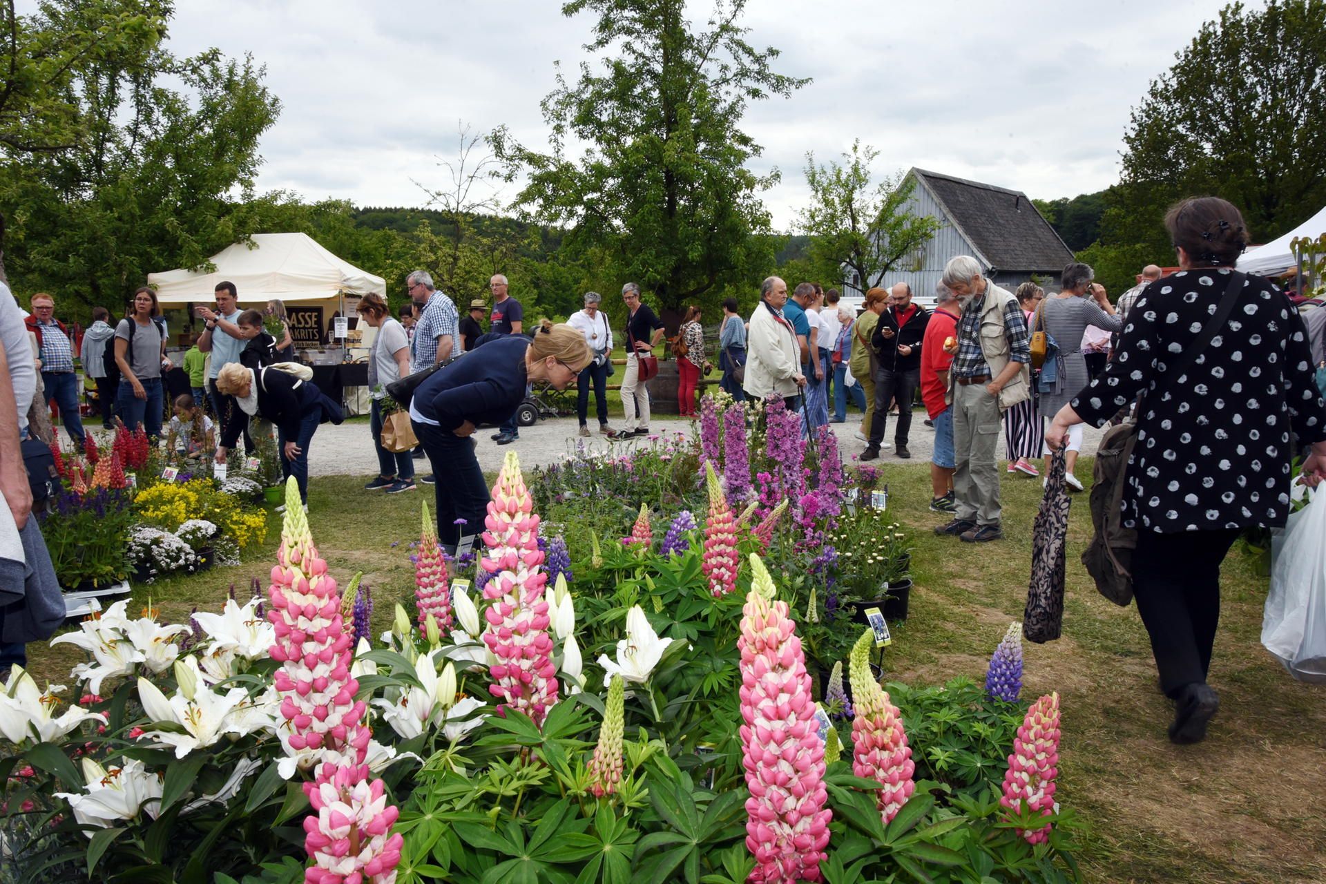 Jroen_und_Jedoen_Museum_Lindlar2