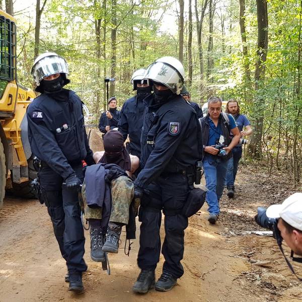 Räumung Hambacher Forst September 2018