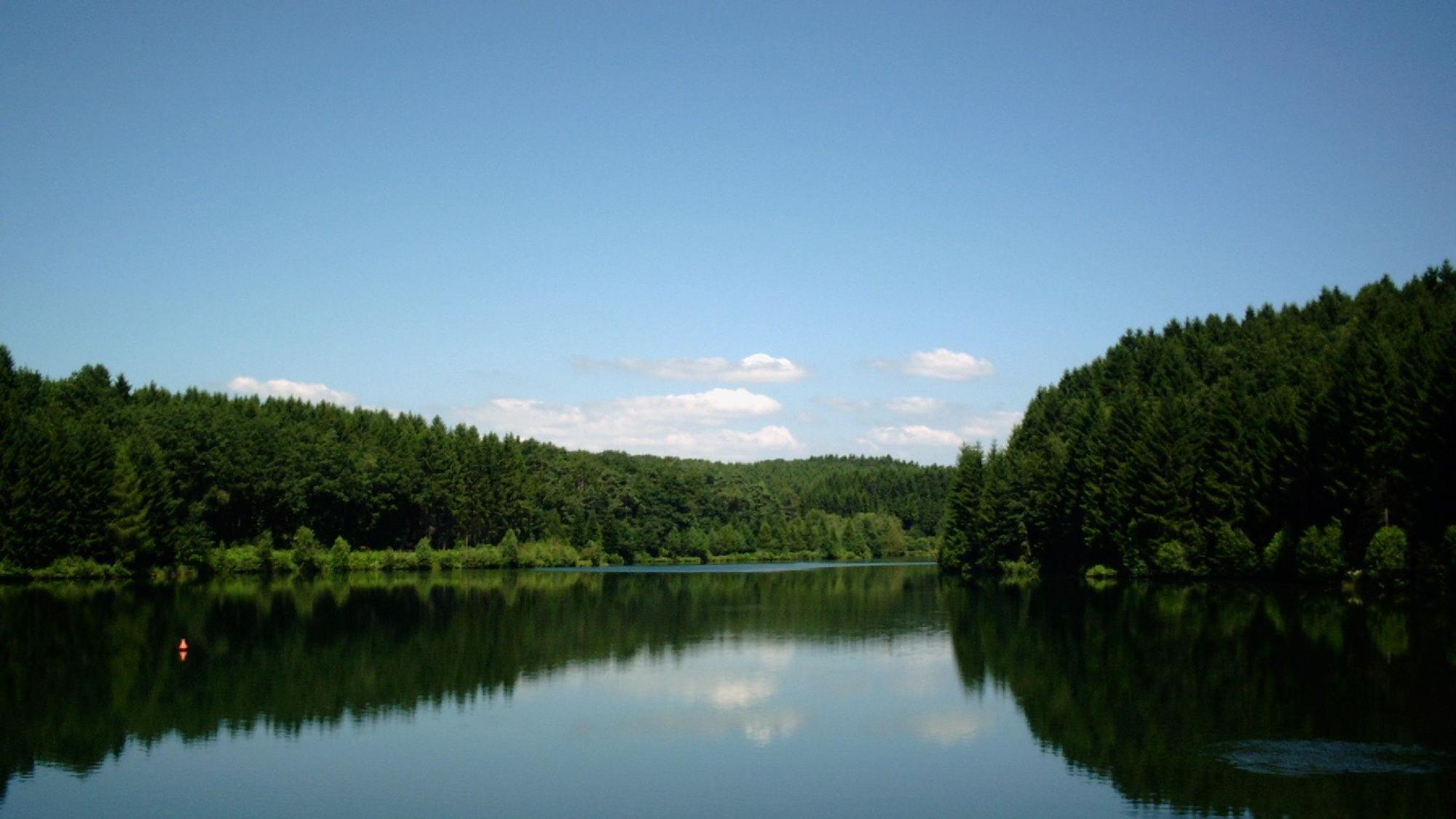 Umringt von dichtem Wald: Die Schevelinger Talsperre.