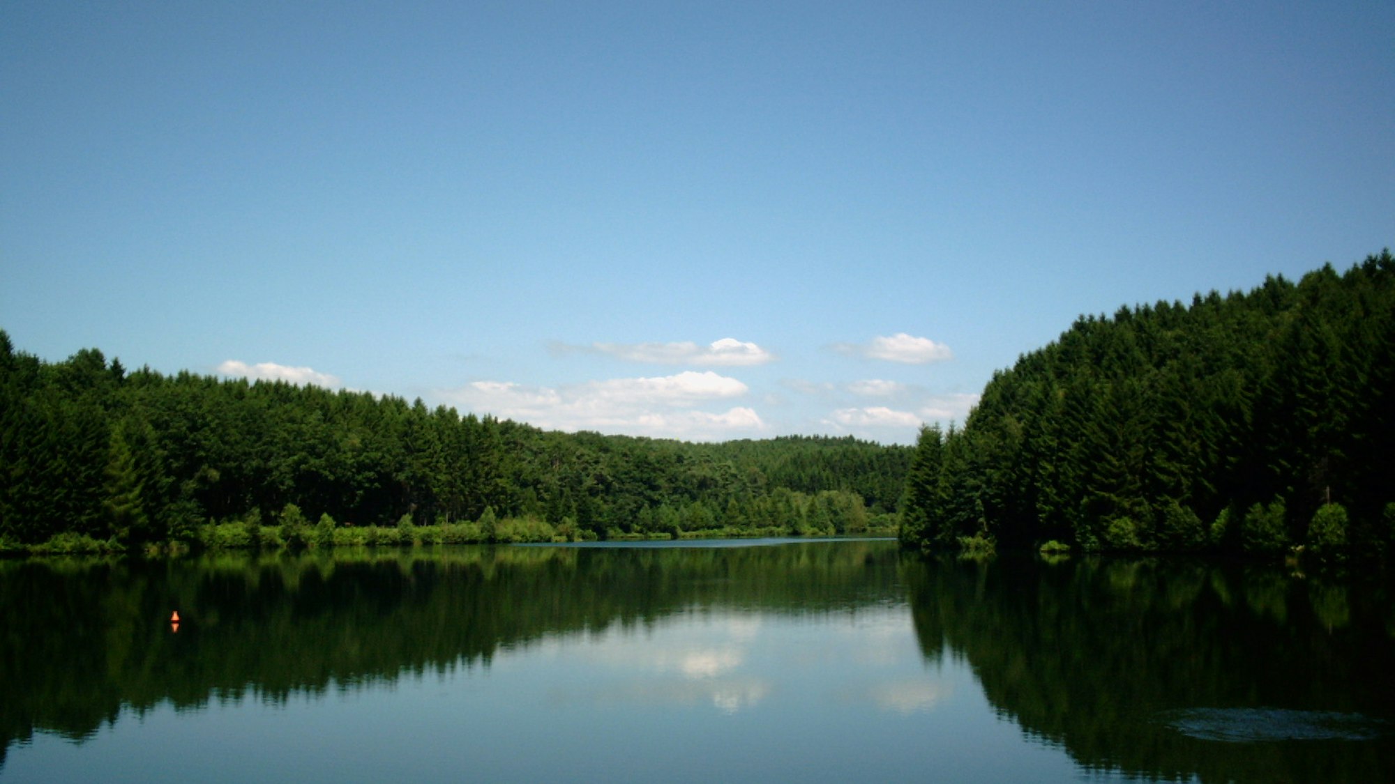 Umringt von dichtem Wald: Die Schevelinger Talsperre.