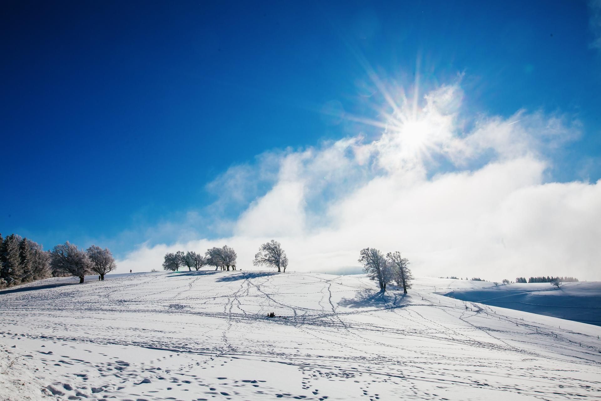 Winterewtter im Schwarzwald