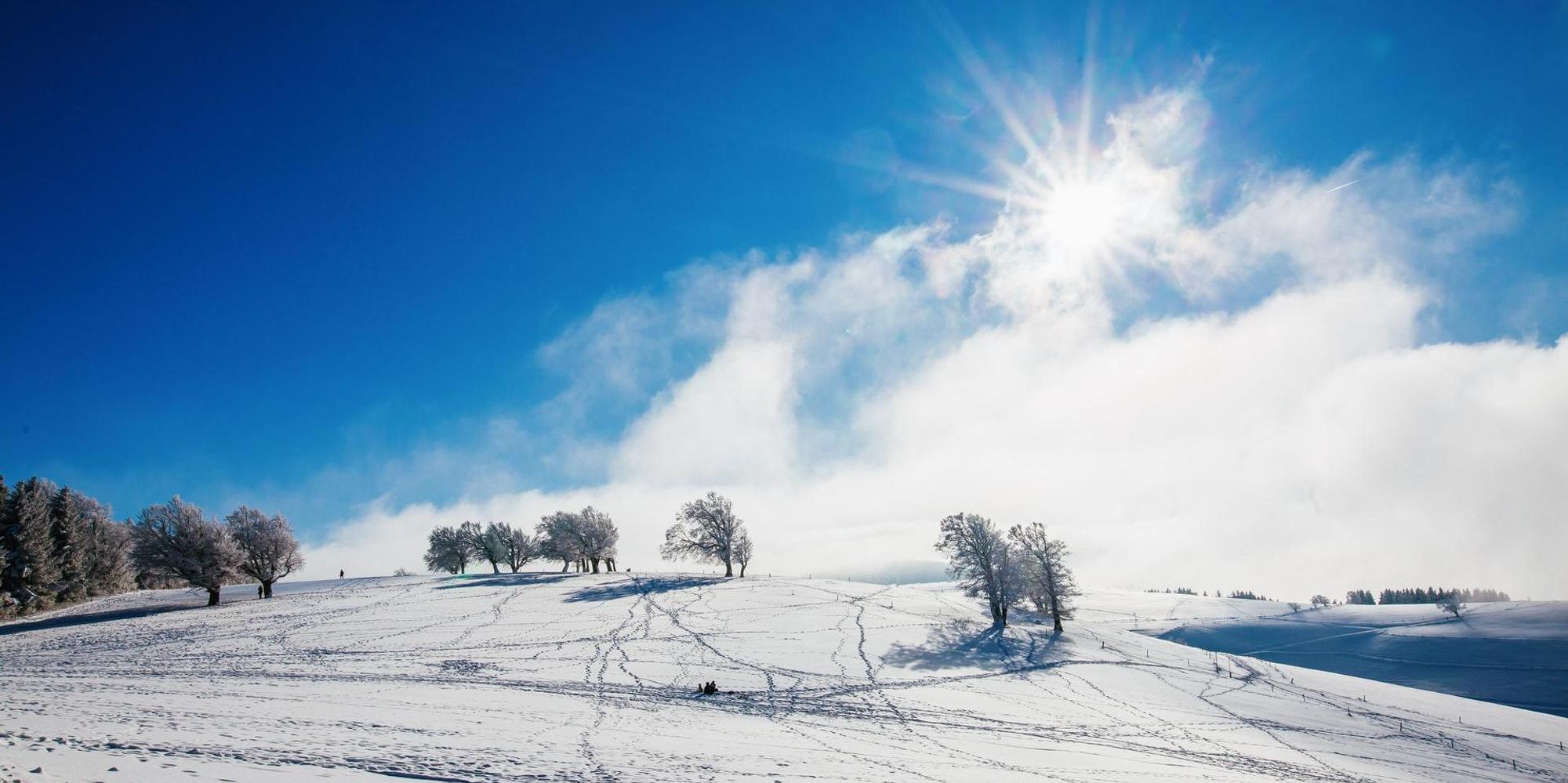 Winterewtter im Schwarzwald