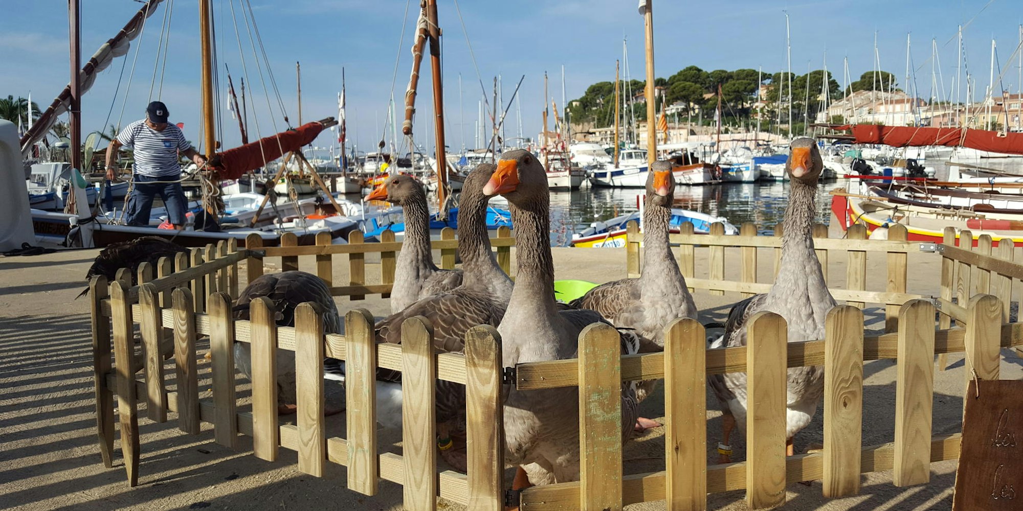 Sanary-Sehnsucht_(4)