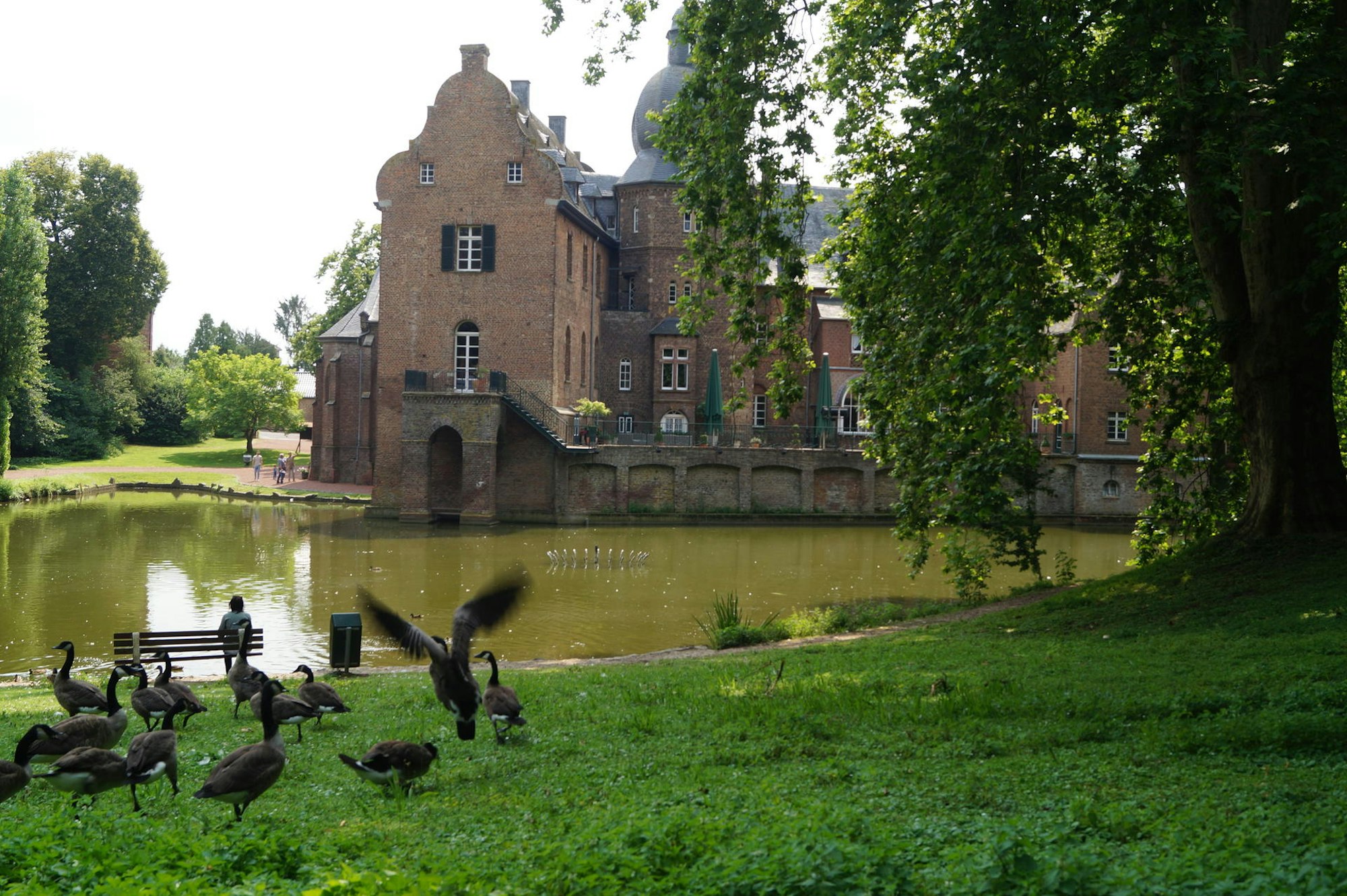 DSC08611 BILD 7
