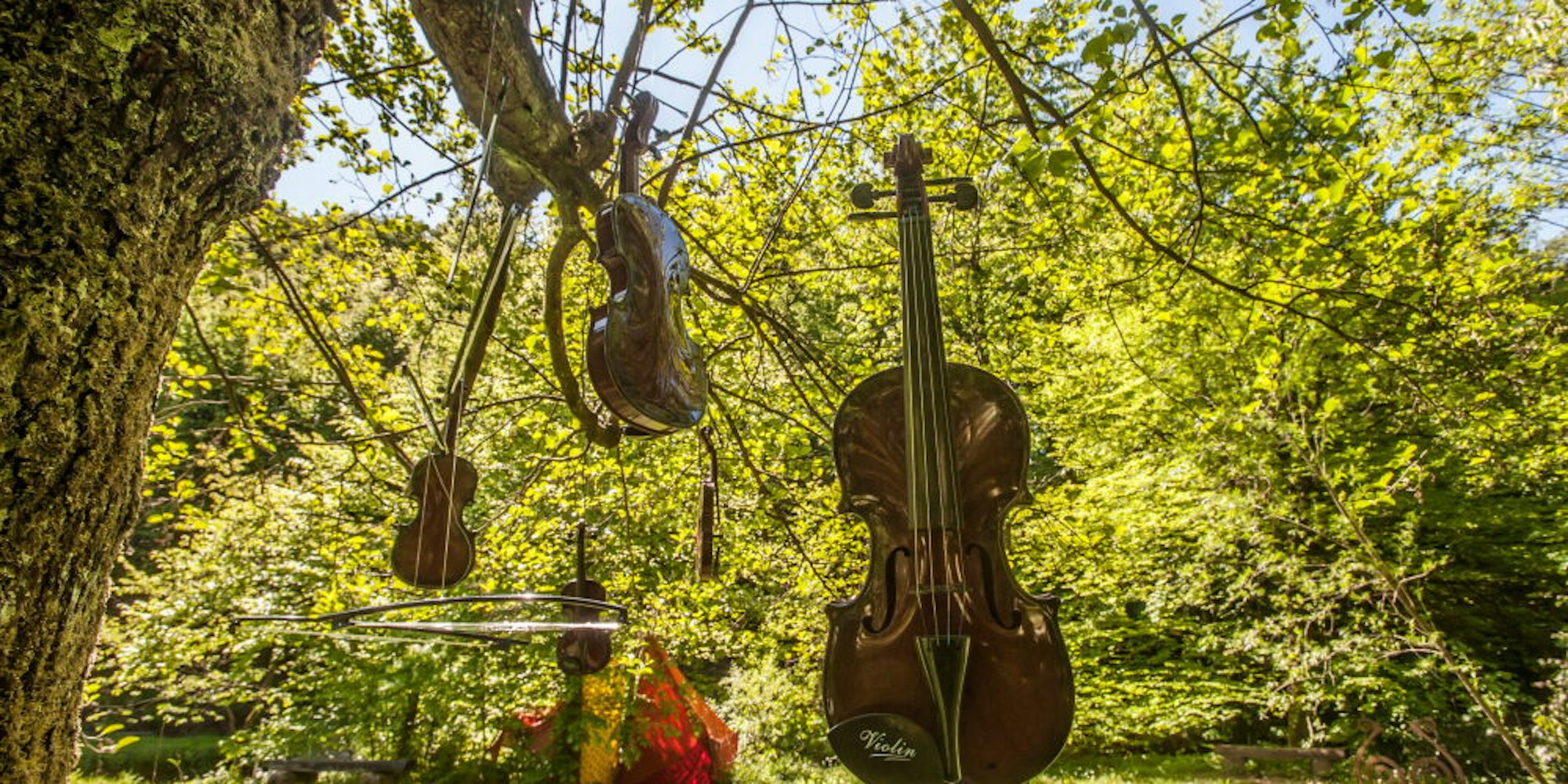 Raus Jetzt_22.5._Sinneswald_RalphKrieger