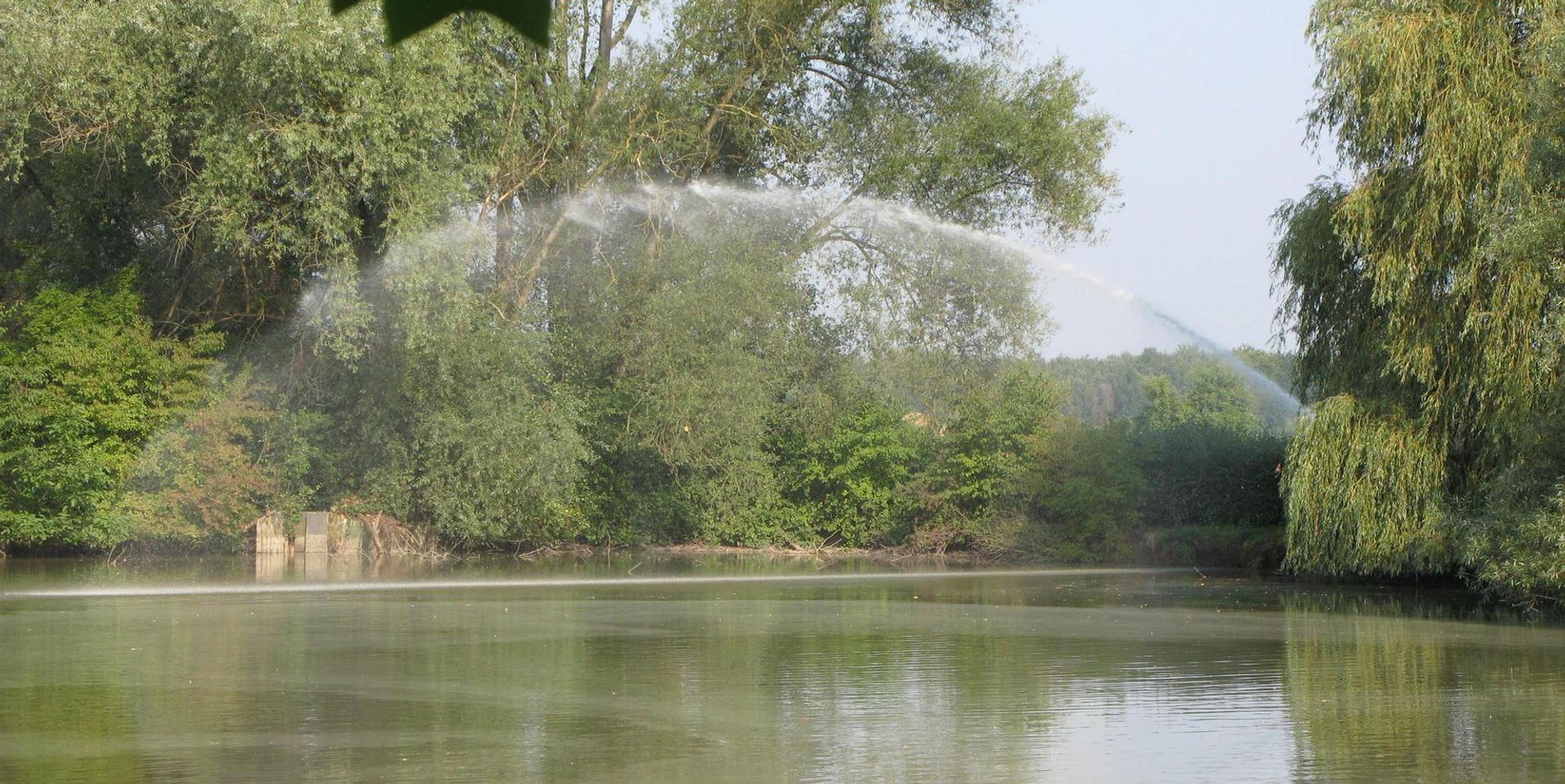Karpfenteich