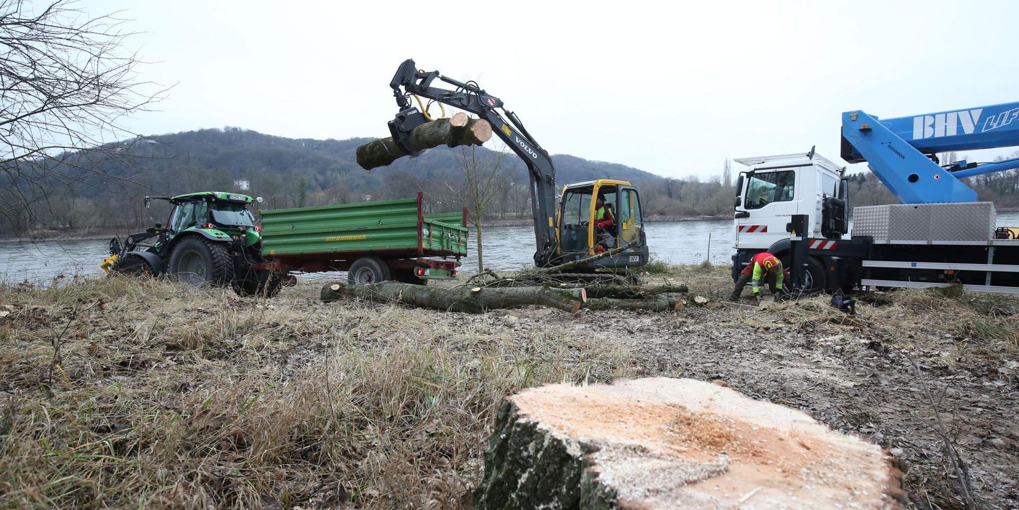 Insel Grafenwerth 2