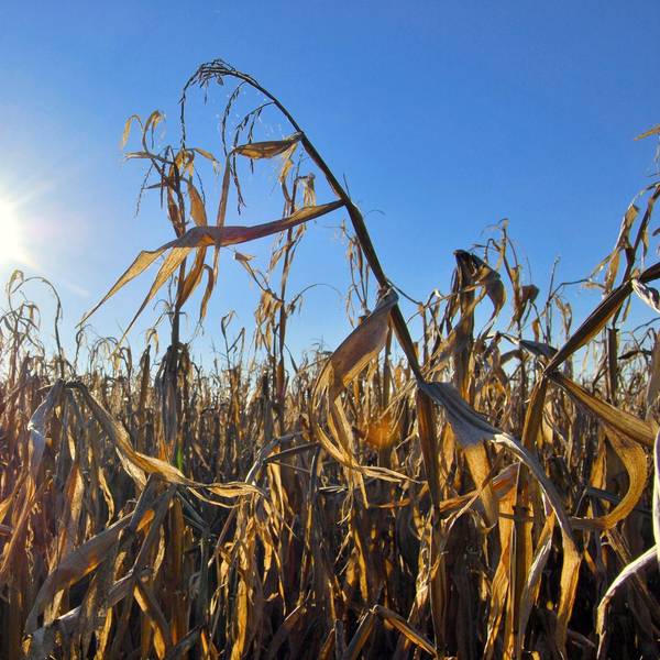 Symbolbild Klimaschutz dpa 151019