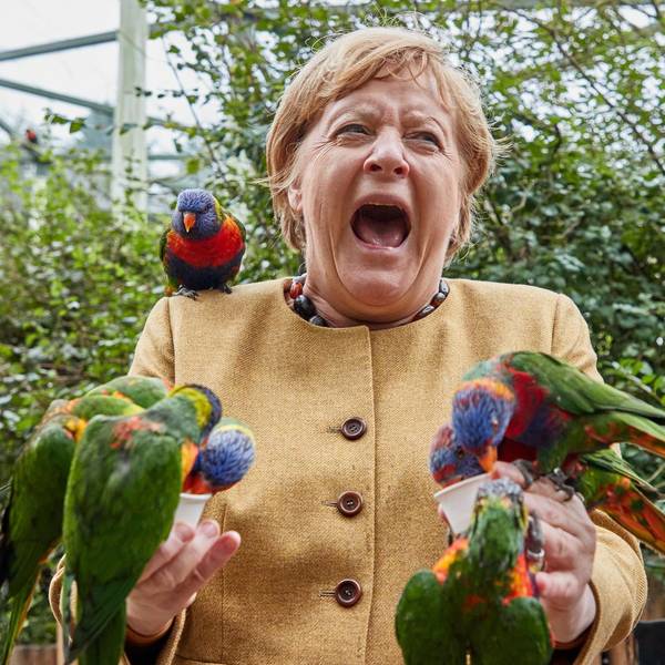 Neuer Inhalt