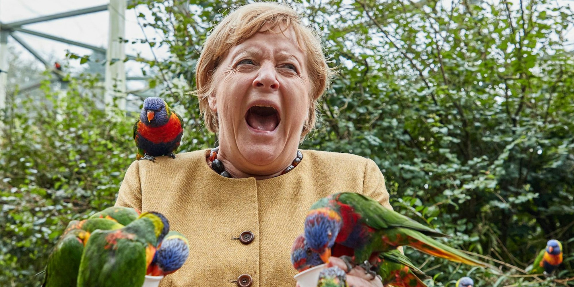 Neuer Inhalt