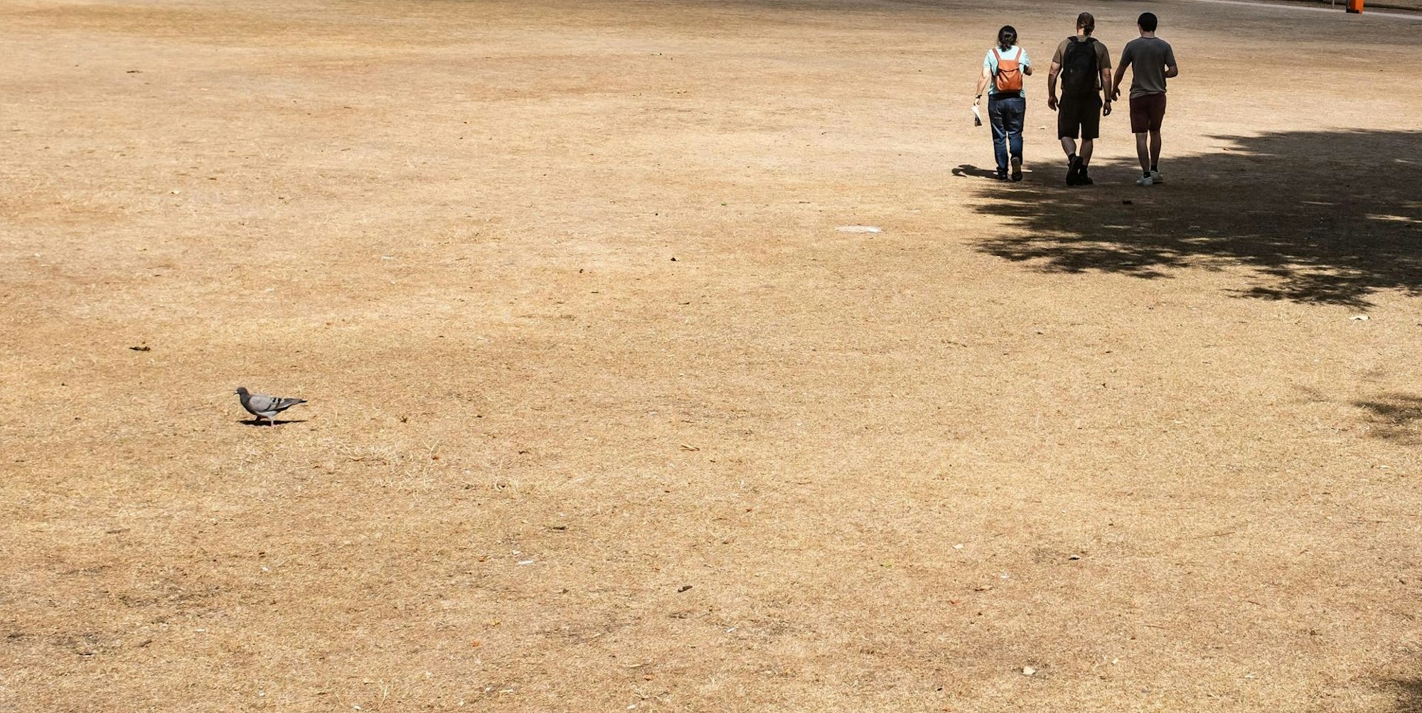 Dürre in Europa 230822