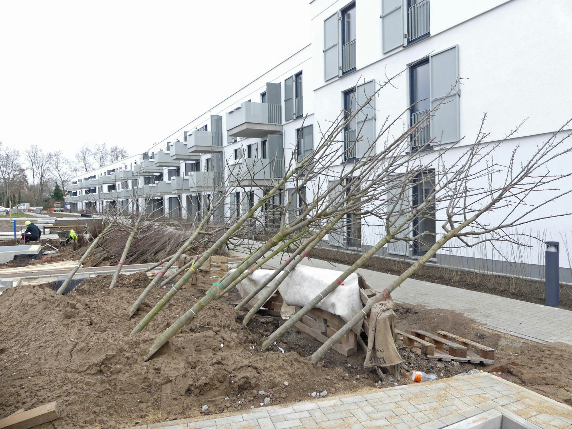 roes-bauen-ehrenfeld-006