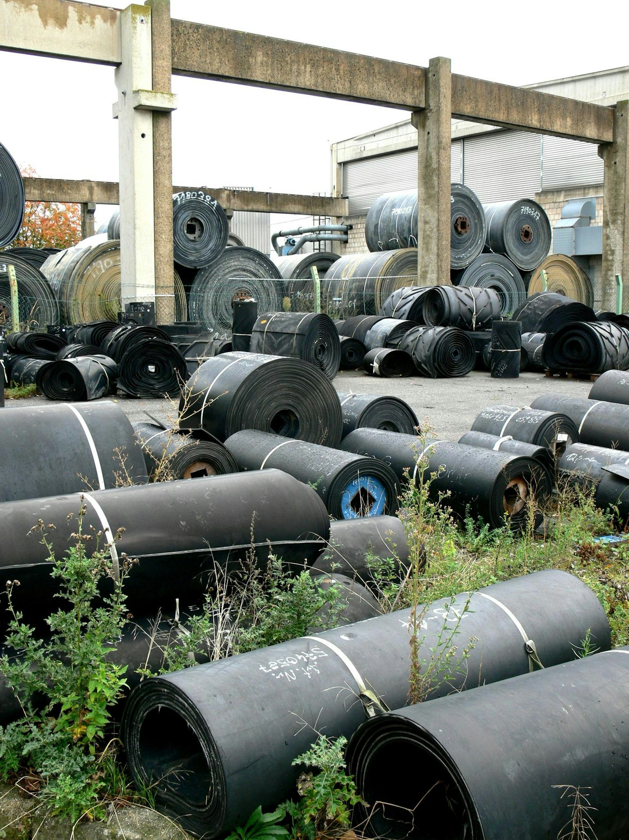 el-4-Raetselwanderung-Etzweiler-FTZ_(5)