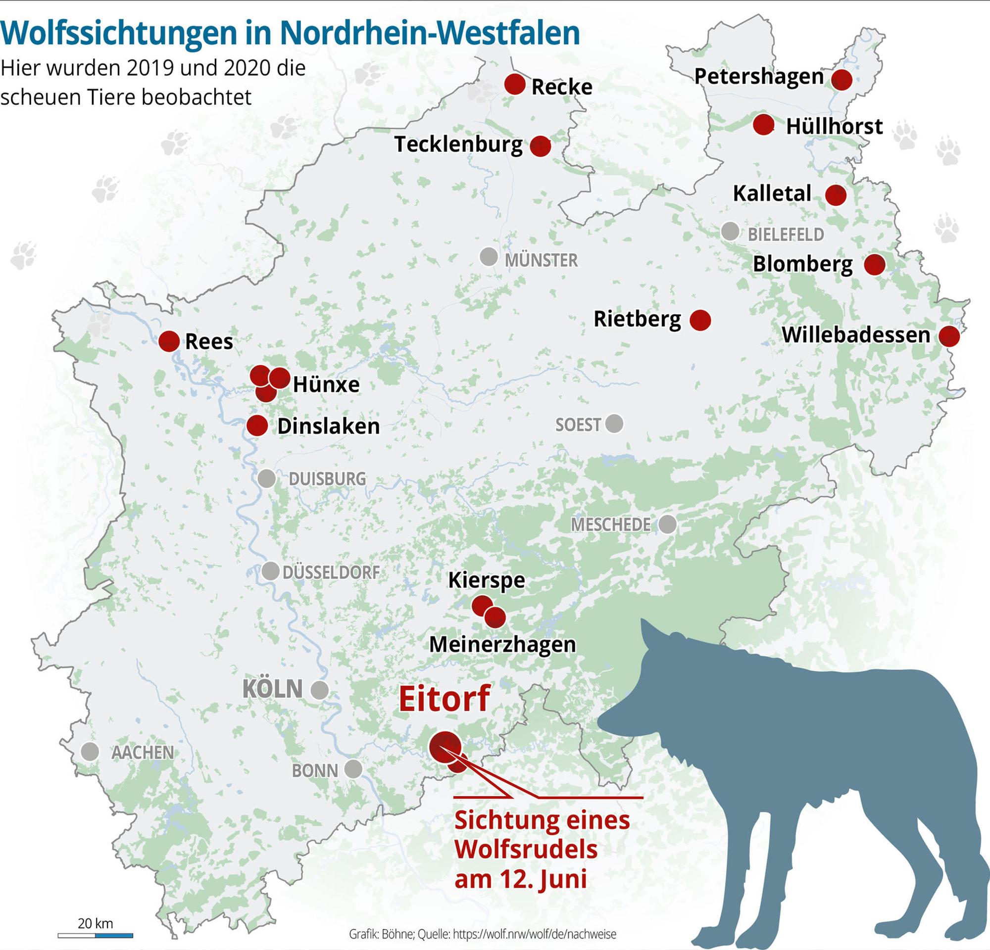 Wolfssichtungen-01 (1)