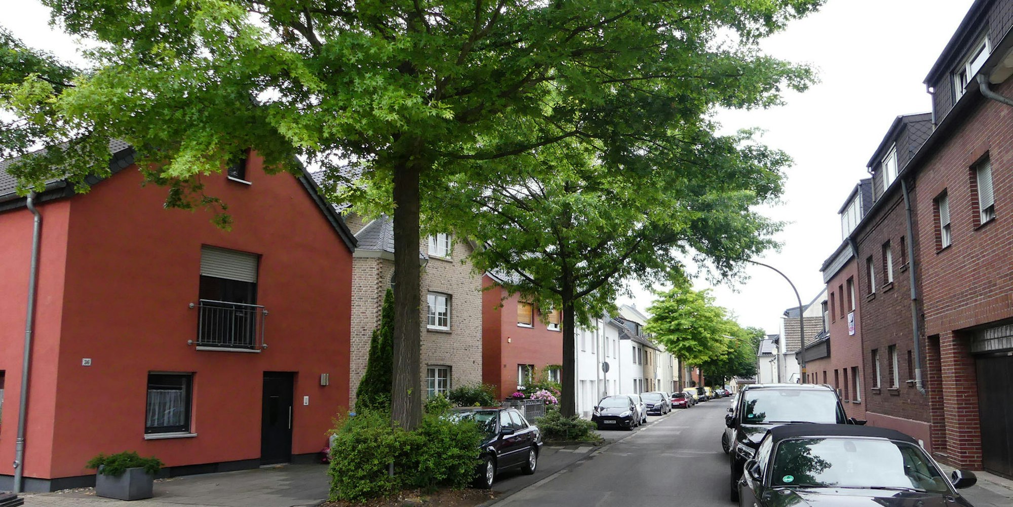 roes-lerchenweg-005