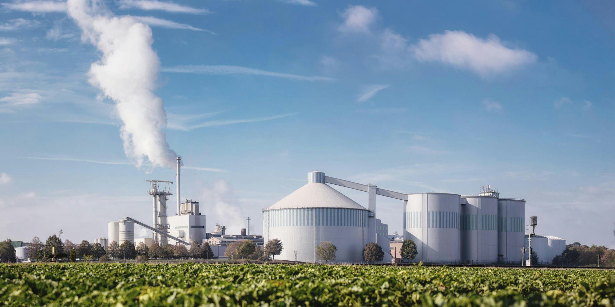 pfeifer_langen_euskirchen