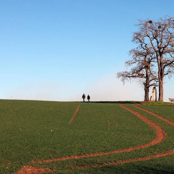 Traumpfädchen mit weiter Landschaft: Unterwegs auf dem Paradiesweg stoßen Wanderer auf markante Ausblicke.
