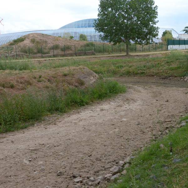 Erft ausgetrocknet