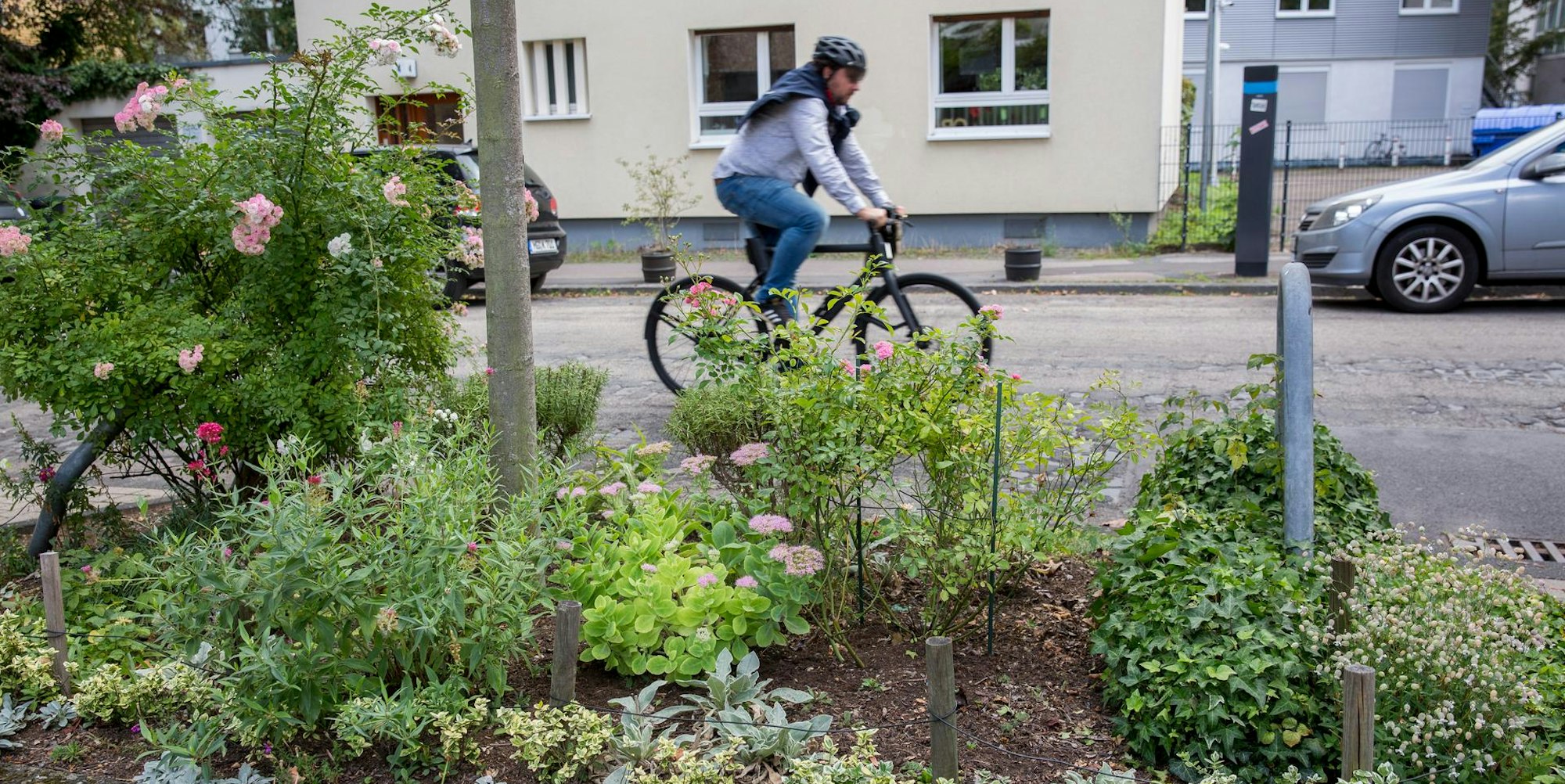 20200906-MBA-Baumscheiben-17