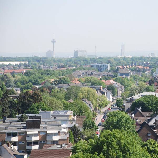 Neuer Inhalt