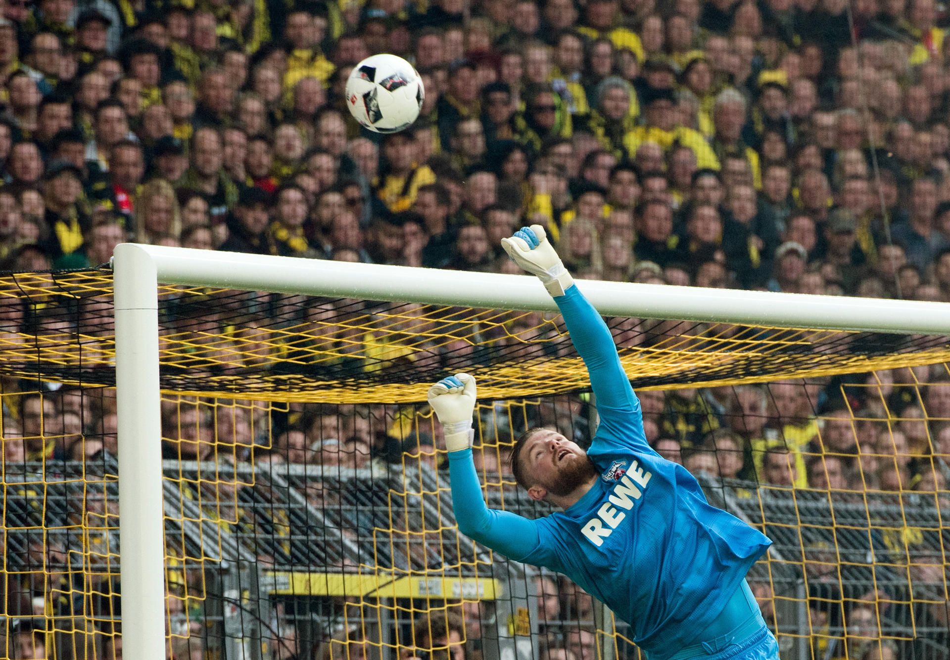 timo horn