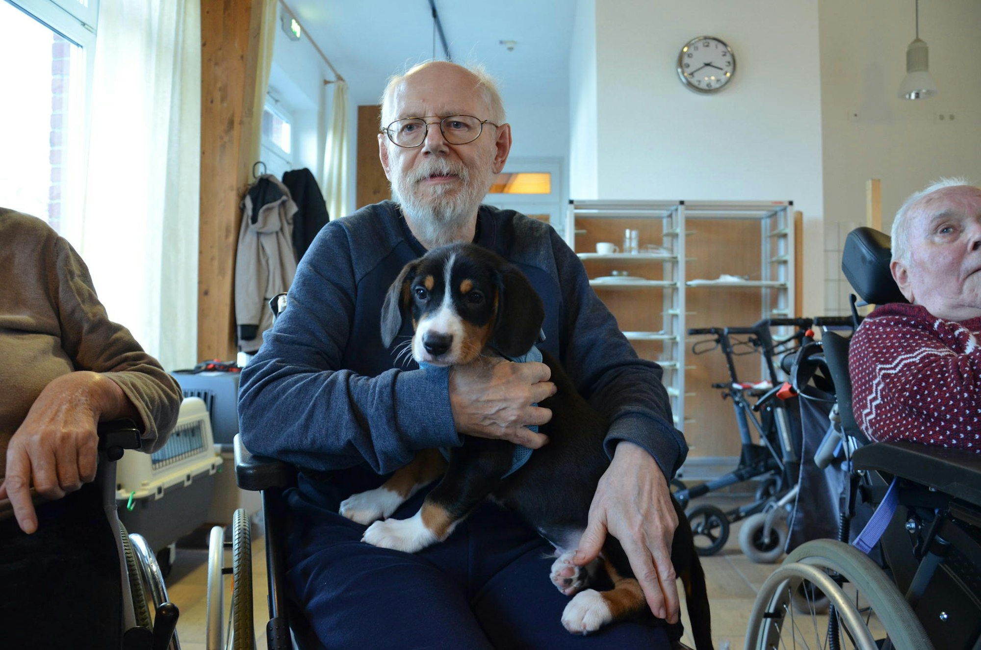 Hundebesuchsdienst_Brühl2