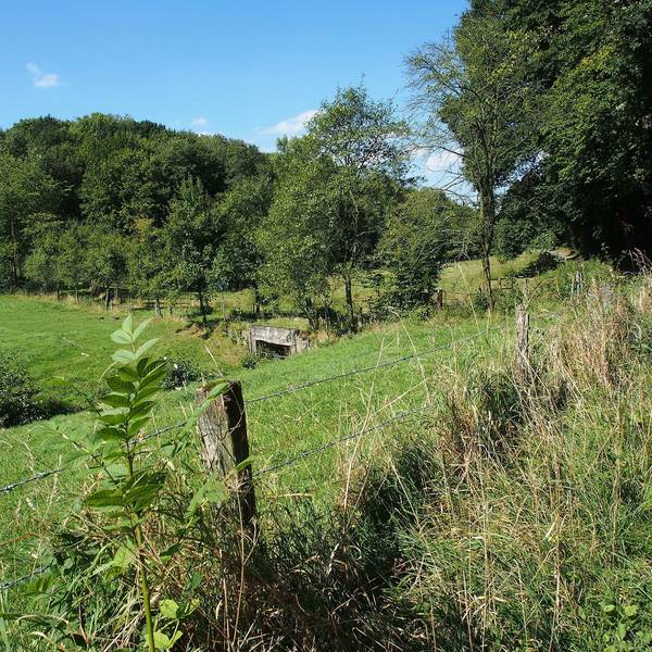 lauterbachtal-a