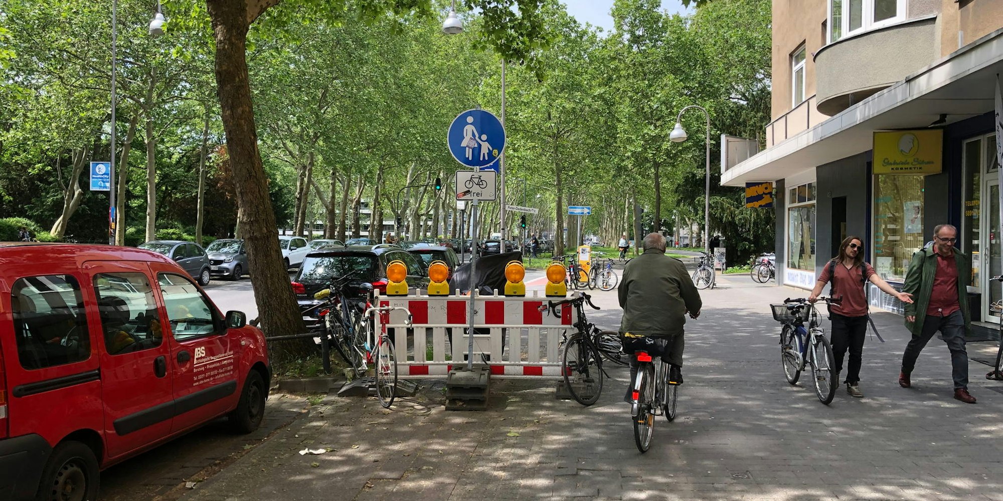 PLatane in Köln Venloer Straße