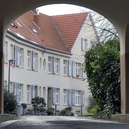 roes-spaziergang-nef-002