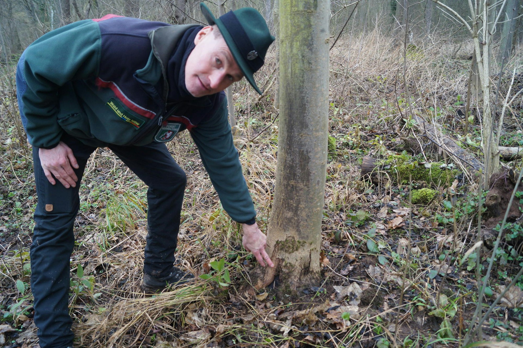 20200203-wm-ker-Kaputter-Wald-02