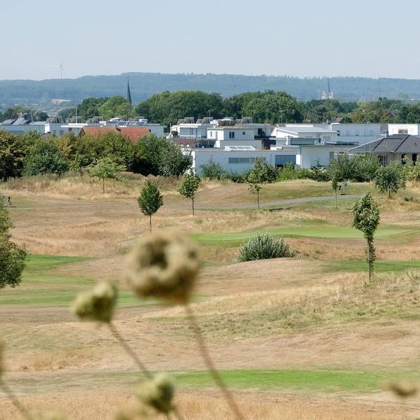 widdersdorf1
