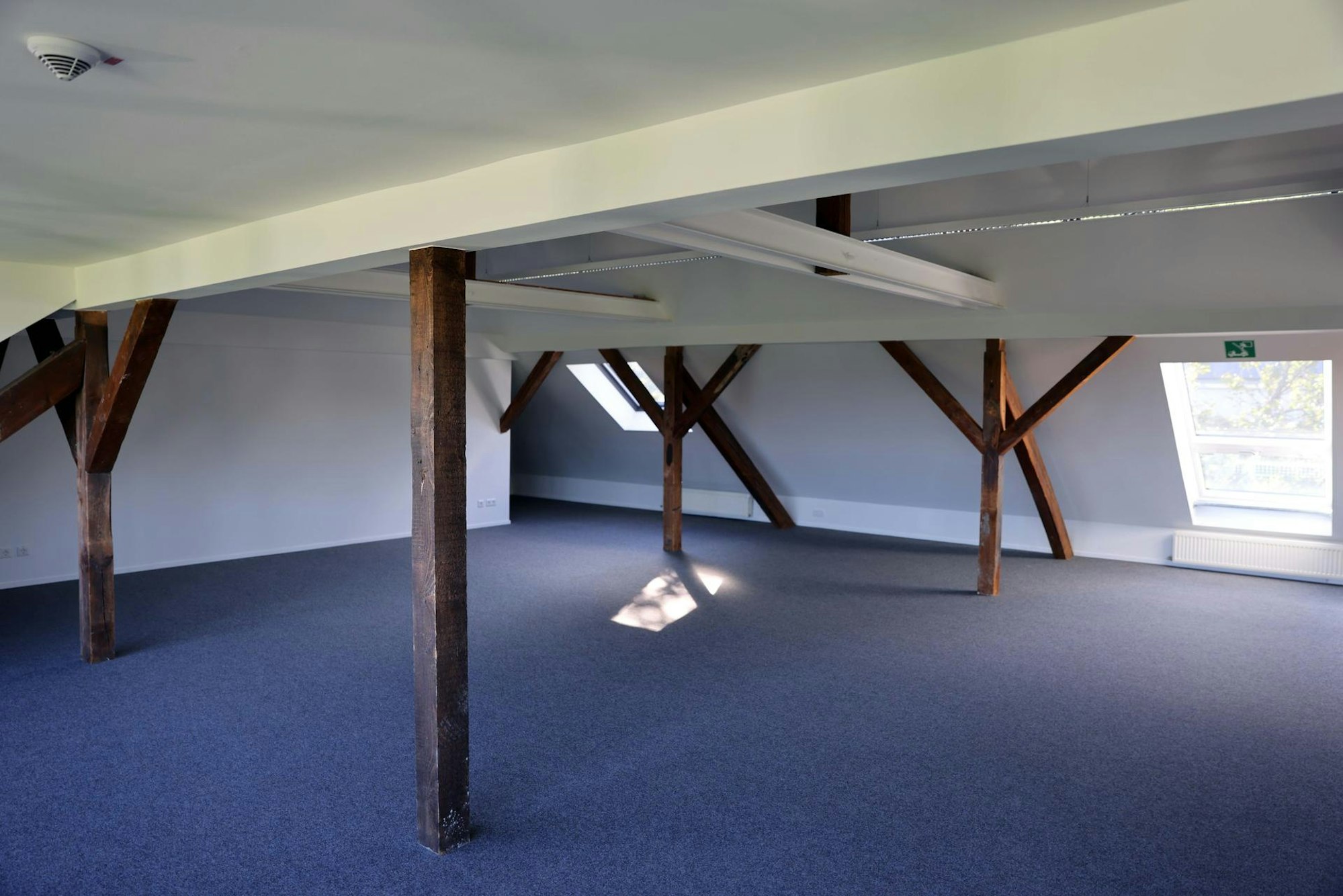 nab210825_Filmhaus_13