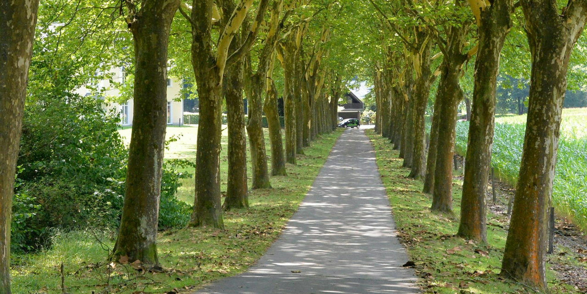 Heimatcheck Odenthal