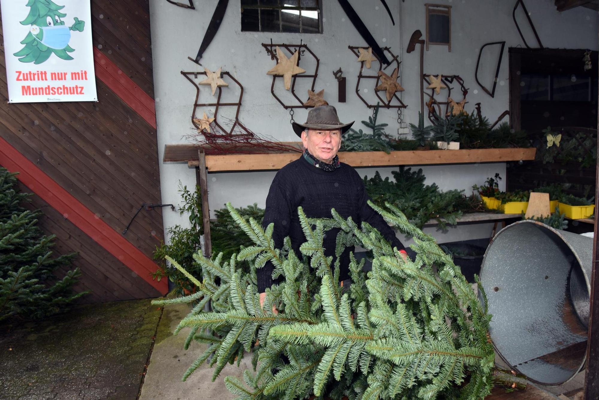 Weihnachtsbaum 2