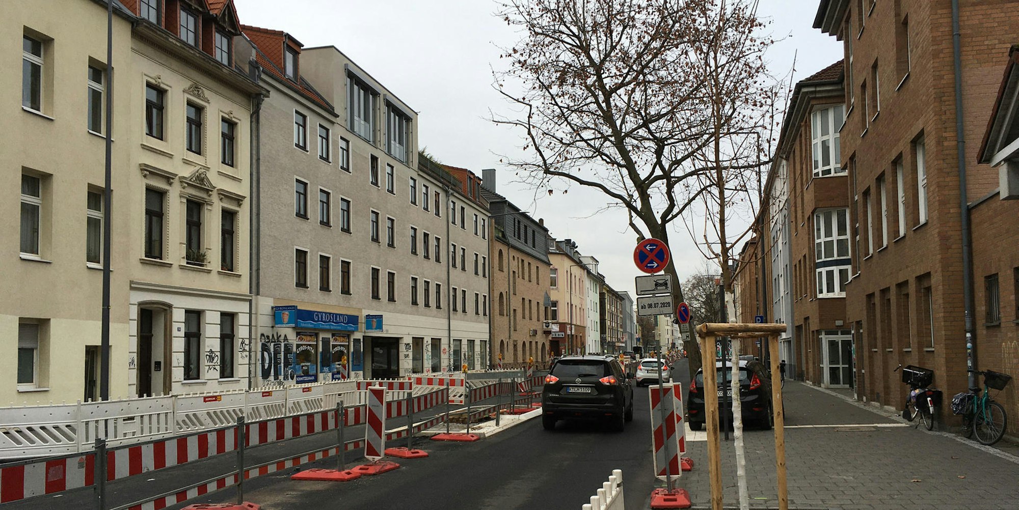 roes-baum-vogelsanger-002