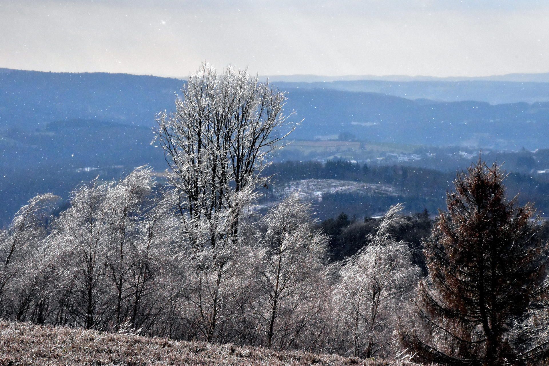 Siebengebirge_Nutscheid_Siegtal
