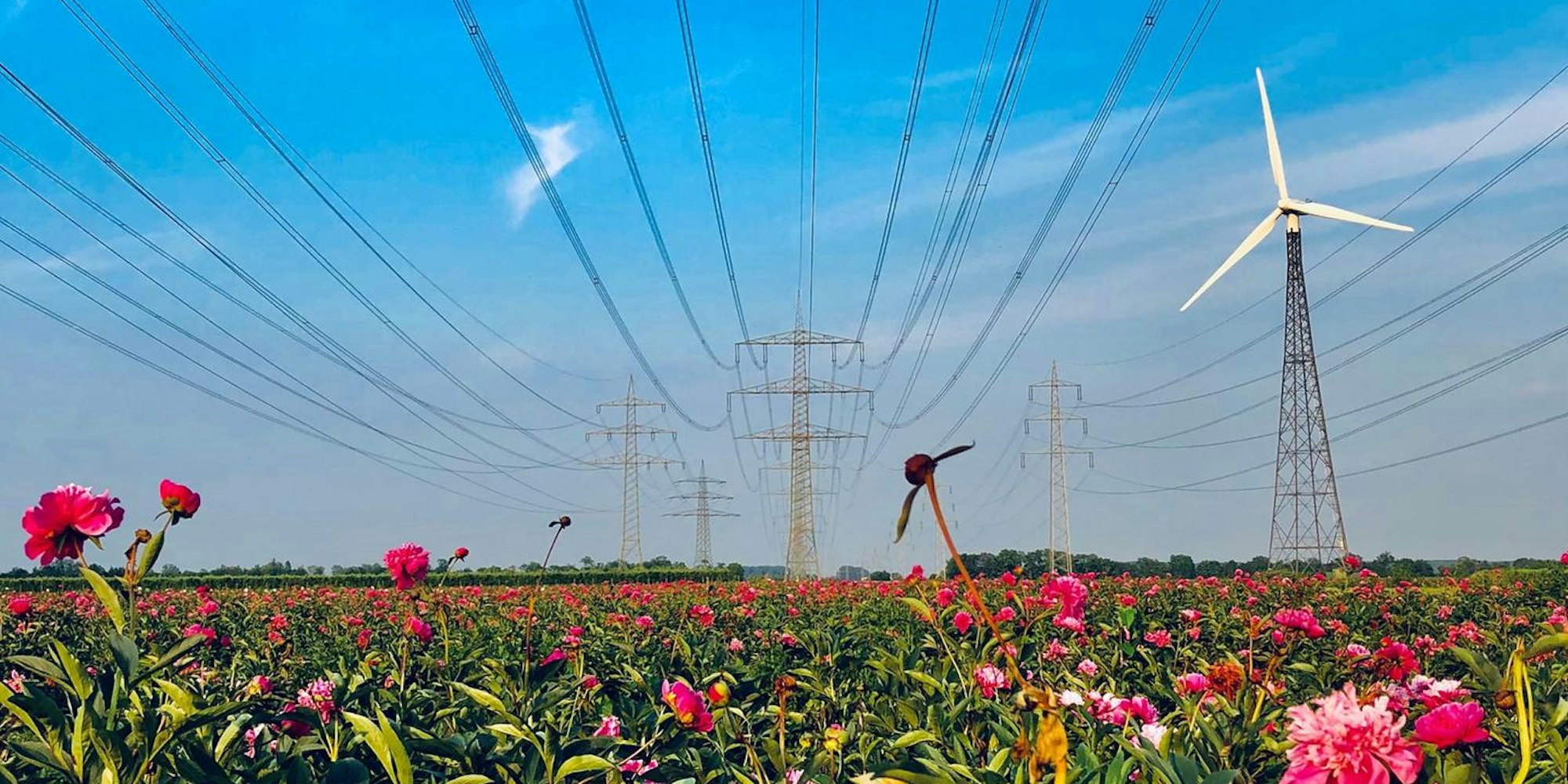 Windräder in Wesseling
