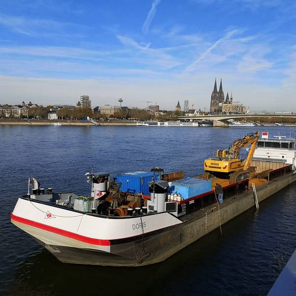 schiff