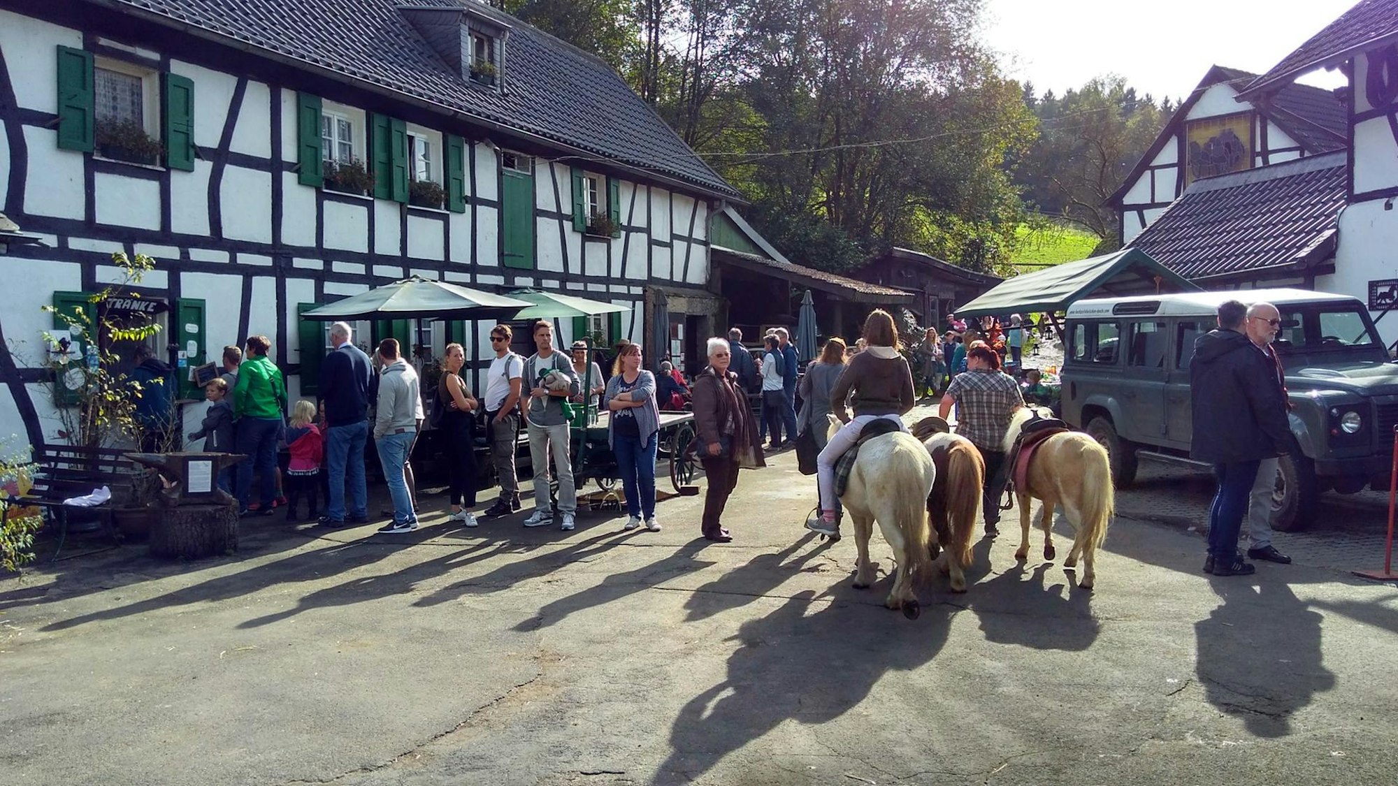 Fachwerkhof mit Mühle, Ponys stehen davor.