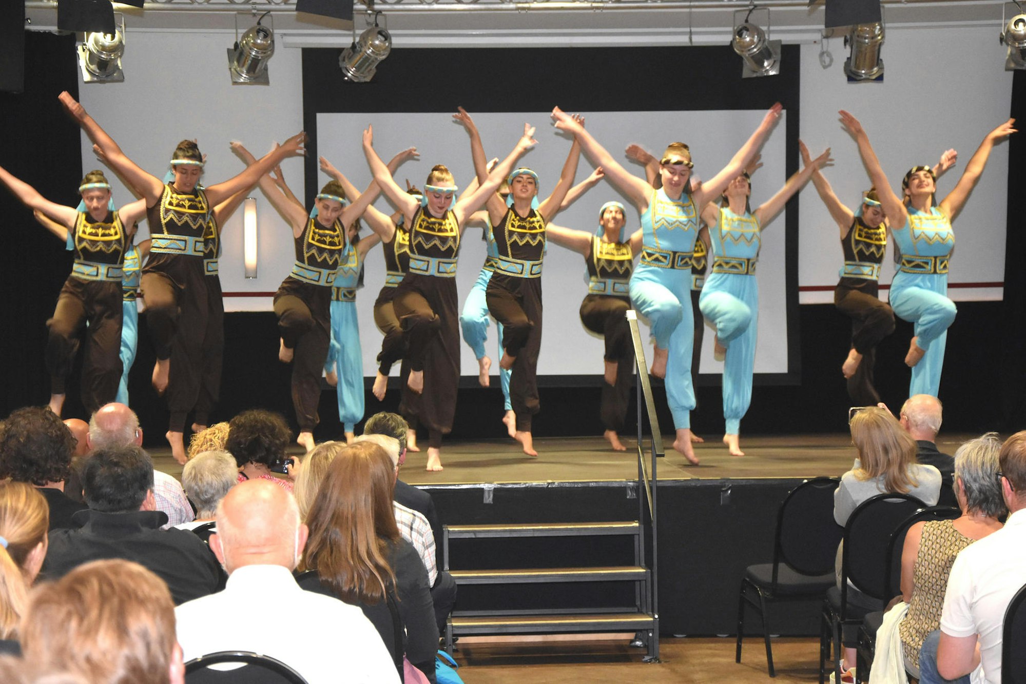 bb-Israel-Partnerschaft-Tanzgruppe-FTZ (3)