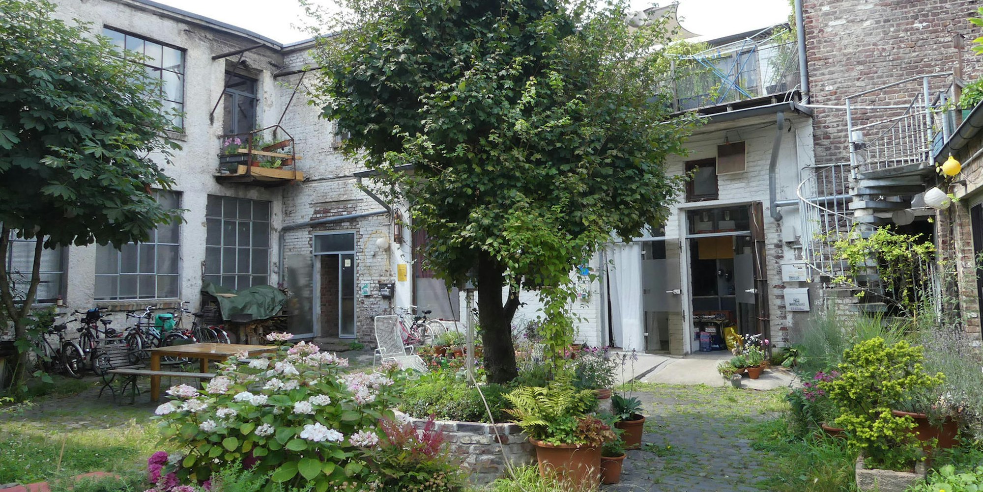 roes-bruncken-bick-001