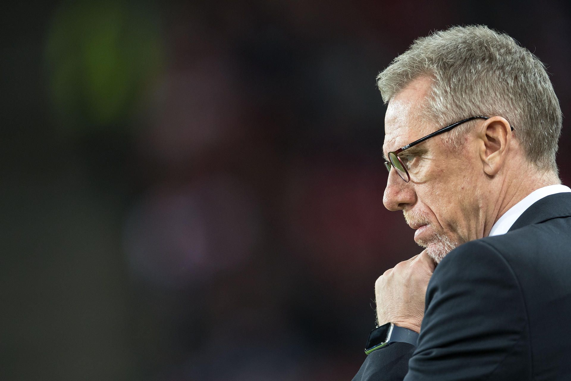 Stöger (2)