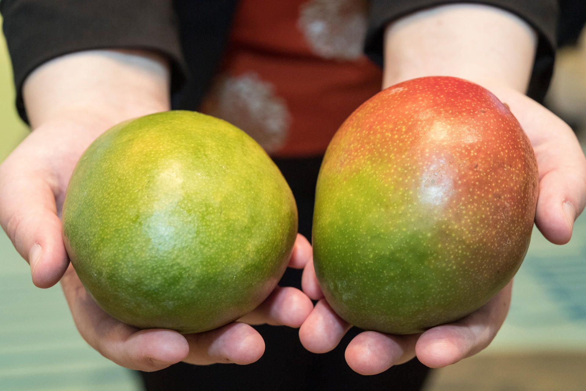 mango