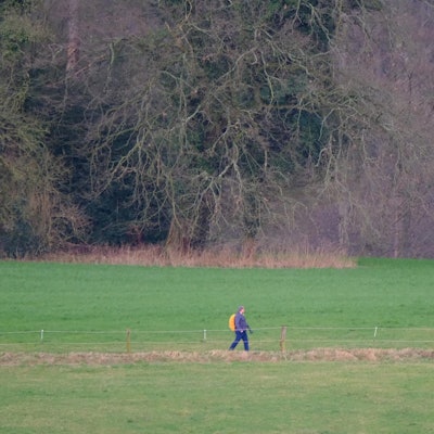 20210205-lesefoto-keiler-rrb_(1)